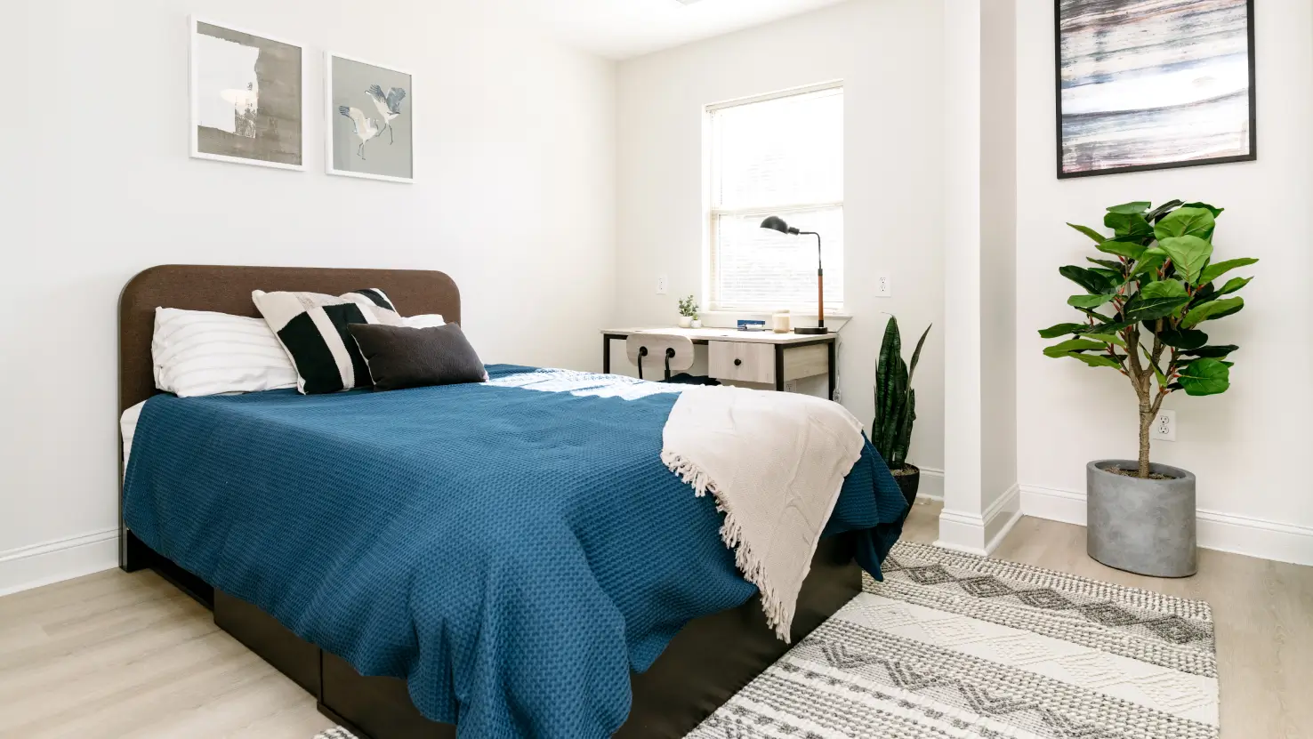 Fully furnished room with bed, desk and chair
