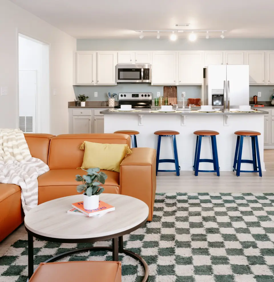 apartment living area and kitchen